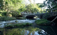 Conéctate con la naturaleza